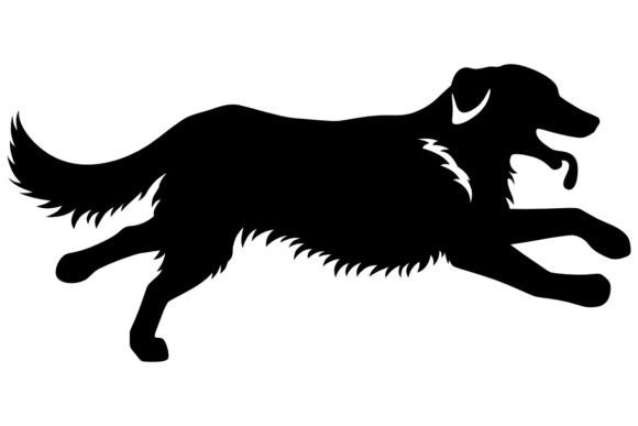 Golden Retriever 3 Procreate Brush Stamp