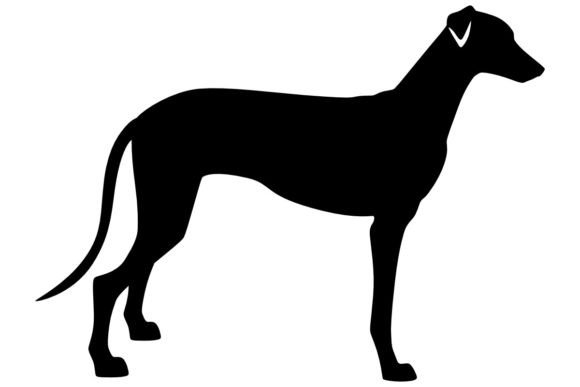 Greyhound 1 Procreate Brush Stamp: A Practical Evaluation
