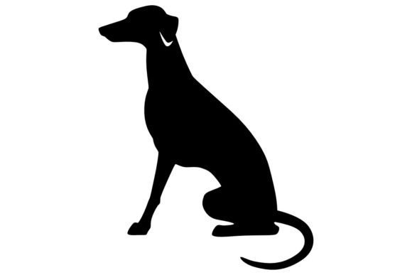 Greyhound 2 Procreate Brush Stamp Guide
