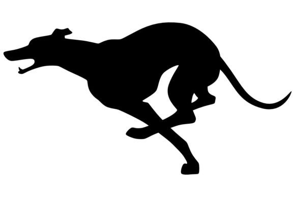 Greyhound 3 Procreate Brush Stamp: Streamlining Your Digital Art Workflow