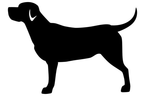 Labrador Retriever Procreate Brush Stamp